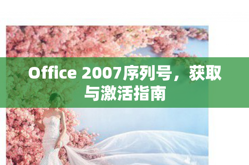 Office 2007序列号图片