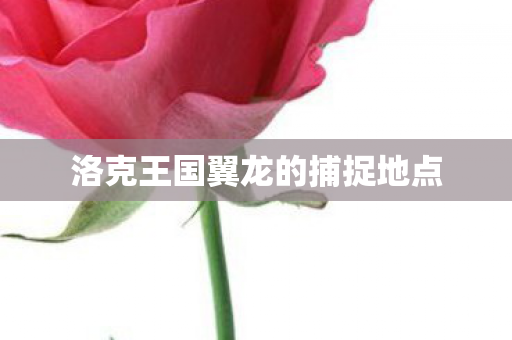 洛克王国翼龙的捕捉地点图片