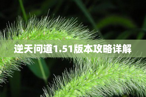 51版本攻略详解图片