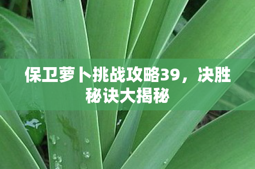 保卫萝卜挑战攻略39图片
