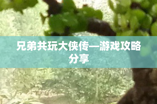 兄弟共玩大侠传图片