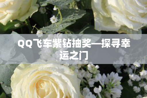 QQ飞车紫钻抽奖图片