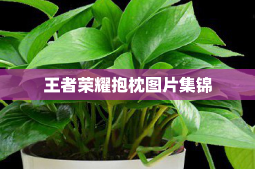 王者荣耀抱枕图片集锦图片