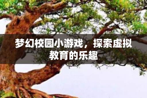 探索虚拟教育的乐趣图片