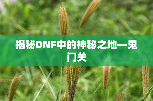 揭秘DNF中的神秘之地图片
