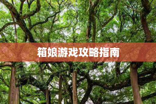 箱娘游戏攻略指南图片