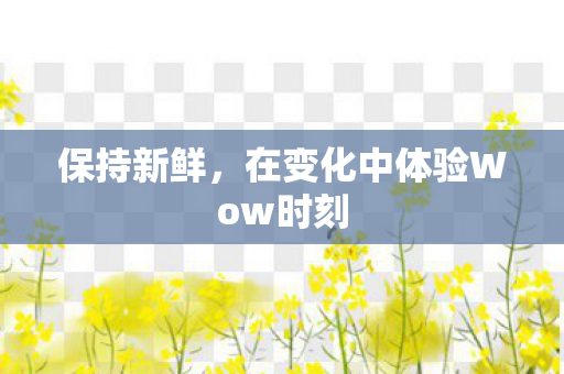 在变化中体验Wow时刻图片