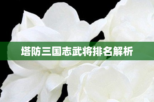 塔防三国志武将排名解析图片
