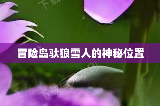 冒险岛驮狼雪人的神秘位置图片