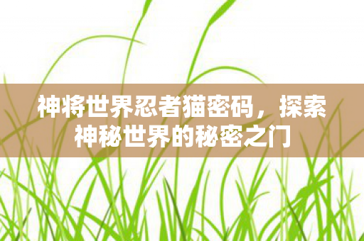探索神秘世界的秘密之门图片