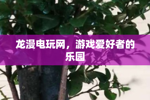游戏爱好者的乐园图片