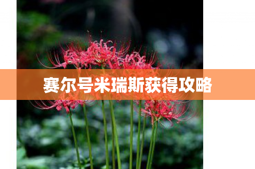 赛尔号米瑞斯获得攻略图片