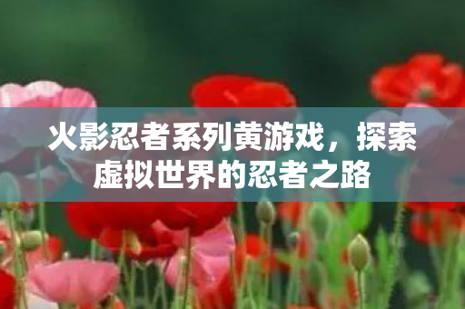 探索虚拟世界的忍者之路图片