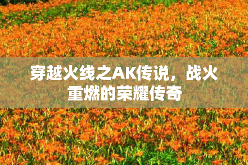 穿越火线之AK传说图片