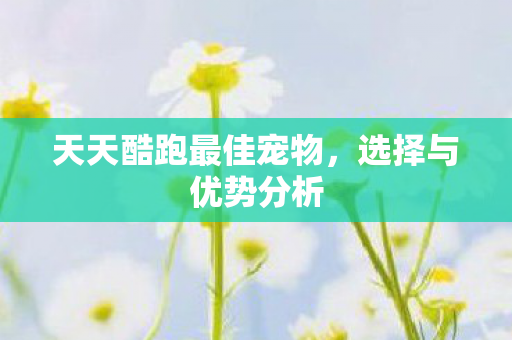 天天酷跑最佳宠物图片