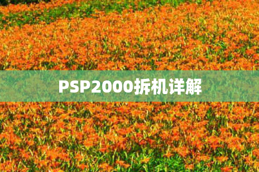 PSP2000拆机详解图片