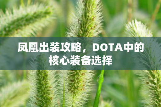 DOTA中的核心装备选择图片