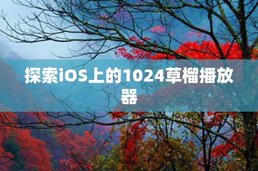 探索iOS上的1024草榴播放器图片
