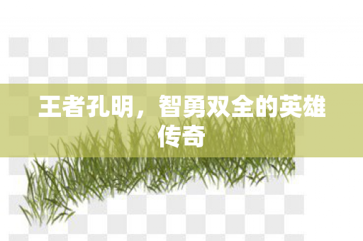 智勇双全的英雄传奇图片