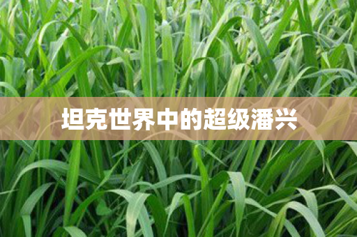 坦克世界中的超级潘兴