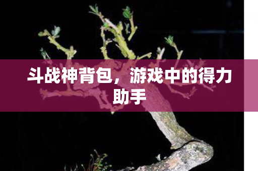 游戏中的得力助手图片