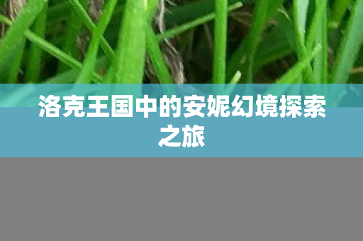 洛克王国中的安妮幻境探索之旅图片