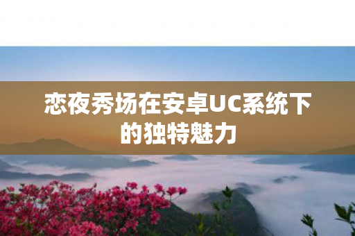 恋夜秀场在安卓UC系统下的独特魅力图片