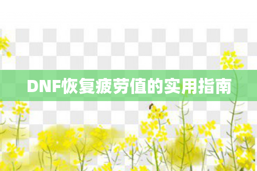 DNF恢复疲劳值的实用指南图片