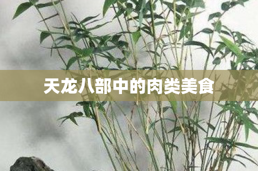 天龙八部中的肉类美食图片