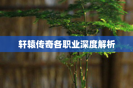 轩辕传奇各职业深度解析图片
