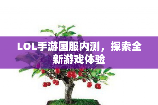 LOL手游国服内测图片