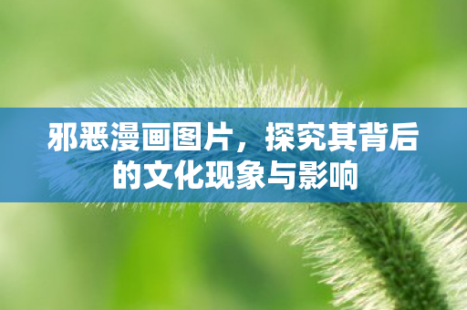 探究其背后的文化现象与影响图片