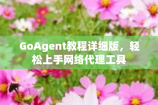 GoAgent教程详细版图片
