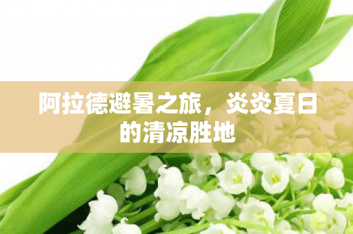 炎炎夏日的清凉胜地图片