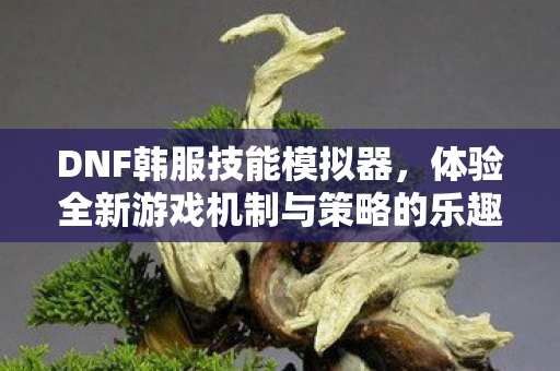体验全新游戏机制与策略的乐趣图片