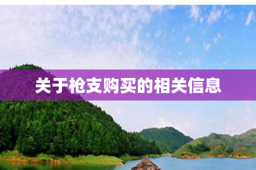 关于枪支购买的相关信息图片