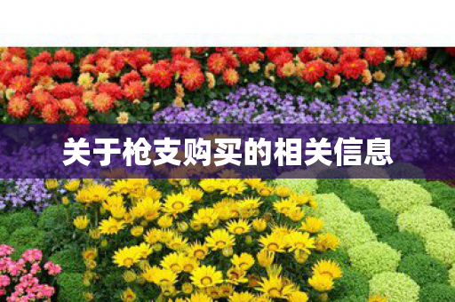 关于枪支购买的相关信息图片