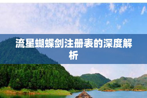 流星蝴蝶剑注册表的深度解析图片
