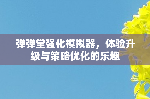 体验升级与策略优化的乐趣图片