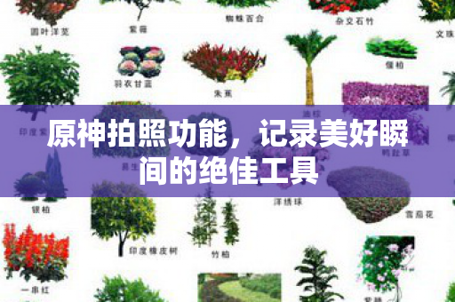 记录美好瞬间的绝佳工具图片