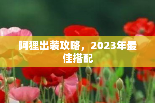 2023年最佳搭配图片