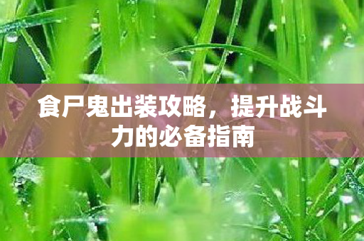 提升战斗力的必备指南图片