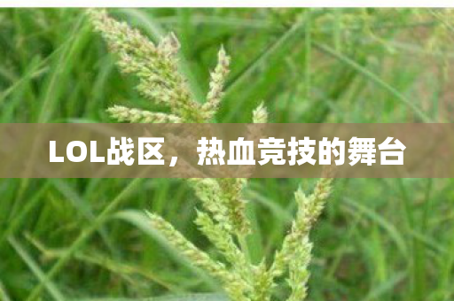 热血竞技的舞台图片