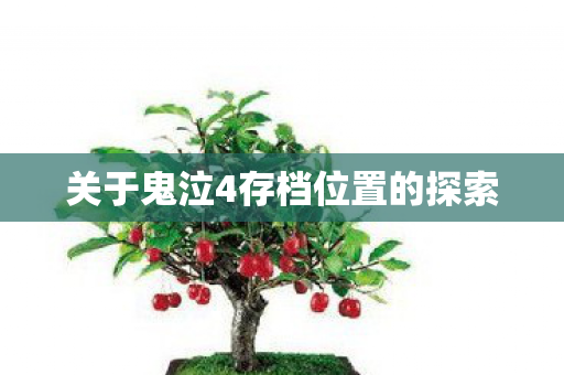 关于鬼泣4存档位置的探索图片