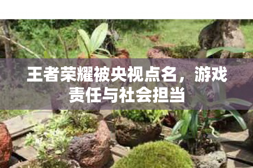 王者荣耀被央视点名图片