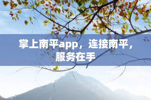 掌上南平app图片