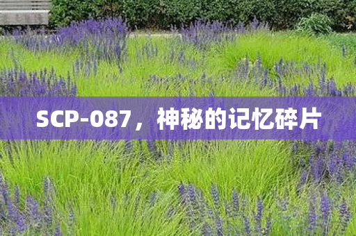 神秘的记忆碎片图片