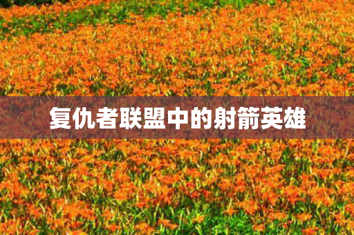 复仇者联盟中的射箭英雄图片