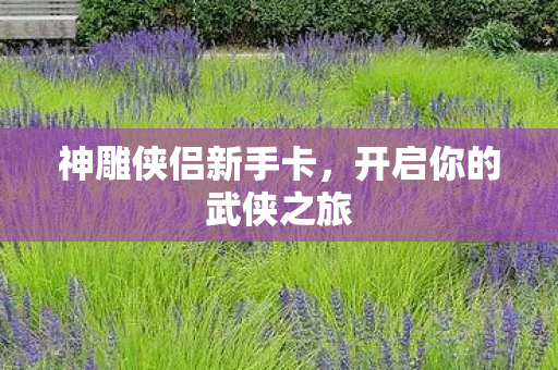 开启你的武侠之旅图片