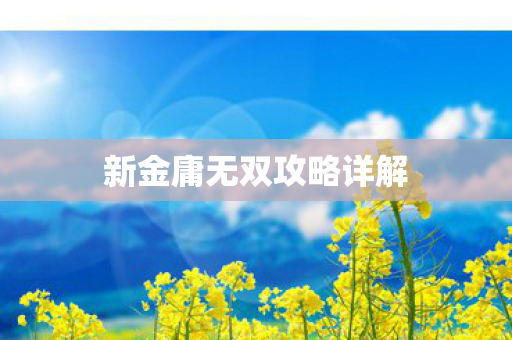 新金庸无双攻略详解图片